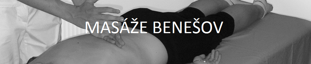 Sem vložte své logo